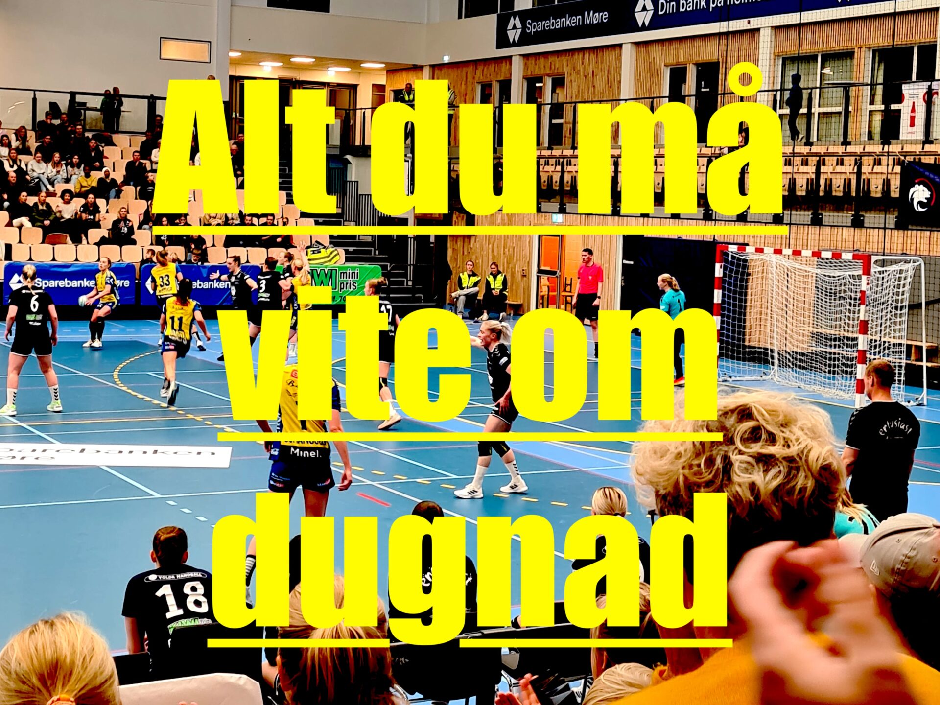 dugnadsinfo